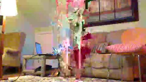 Alicia deHart  Help me reach 1000 Followers. Its FREE online show from February 14, 12:29 am