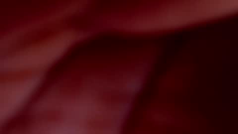 MISS JAZMINE QUEEN OF HELLFIRE online show from November 24, 11:01 am