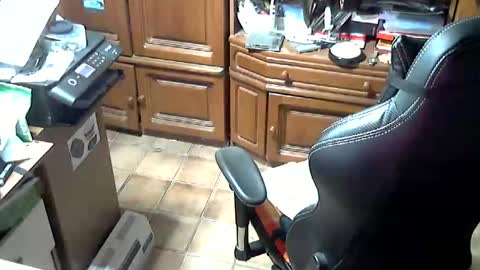 androgynia online show from October 17, 11:58 am