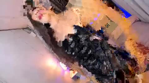 LUCI BABE online show from March 8, 5:49 am