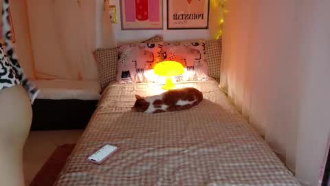 pauline online show from October 8, 4:41 pm