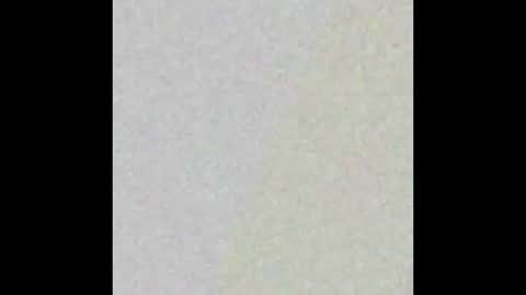 Dori online show from December 21, 5:08 pm