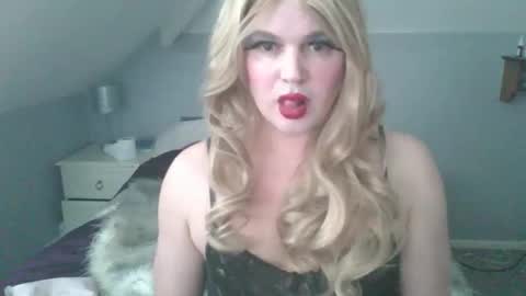 Birdi online show from February 1, 12:26 pm