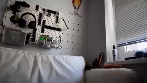 bussygapefemboy online show from May 10, 1:27 pm