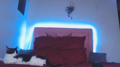 cicimom online show from October 25, 9:15 am