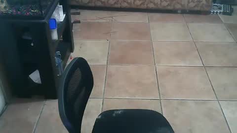 crossdressernola504 online show from September 19, 11:54 pm