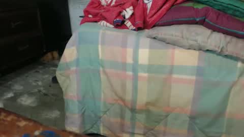 dreamreal online show from October 22, 11:56 am