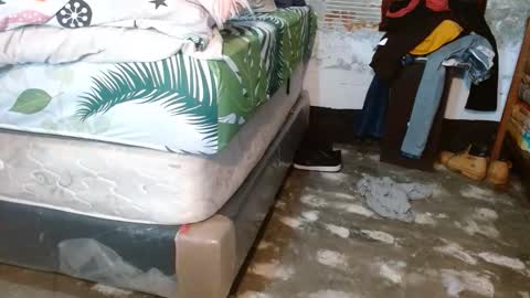 dreamreal online show from March 15, 1:58 pm