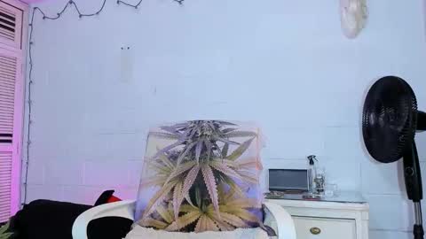 drippyorlove online show from April 14, 6:13 pm