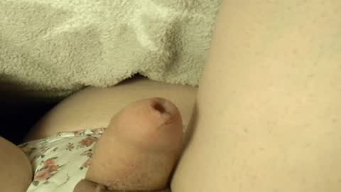 Meadow online show from March 27, 10:27 am