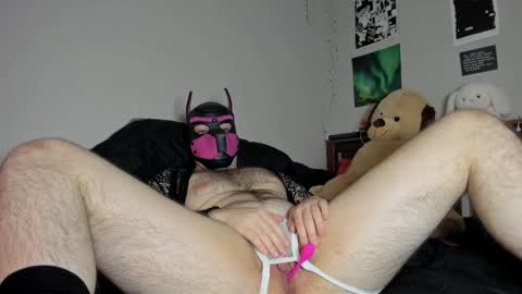 dayzie online show from February 21, 12:57 am