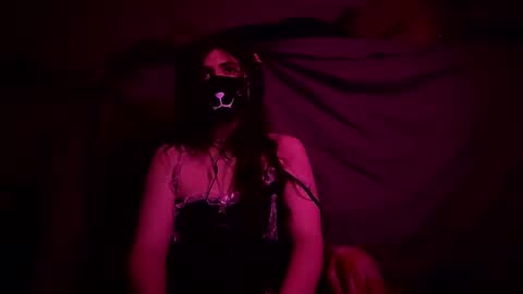 BongKittyGayge online show from February 11, 6:51 am