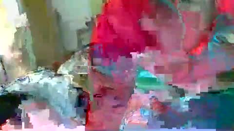 Harper Steele online show from February 28, 10:44 am