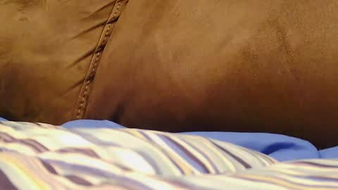 BigFTMdick online show from December 9, 6:02 am