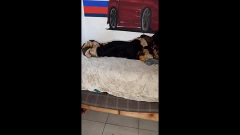 jessymartinez672 online show from March 27, 10:11 pm