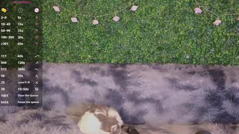 Katerina online show from April 17, 9:49 pm