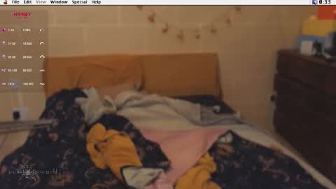 Krypto hethey online show from January 11, 11:33 pm