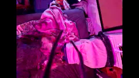 lilpluto12 online show from December 10, 6:29 am