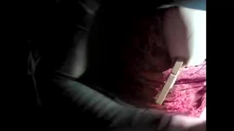 martamoontrans online show from September 14, 12:05 am