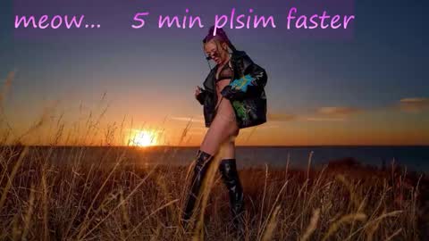 Meeeow  opening hours are from 2200 in New York online show from October 22, 11:12 am