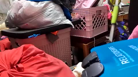 Snapshot of merelyalover chatting on February 26, 7:09 am gurlnips online show from February 26, 7:09 am