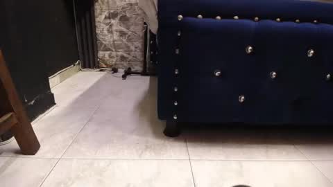 miha_califa online show from February 9, 12:01 pm