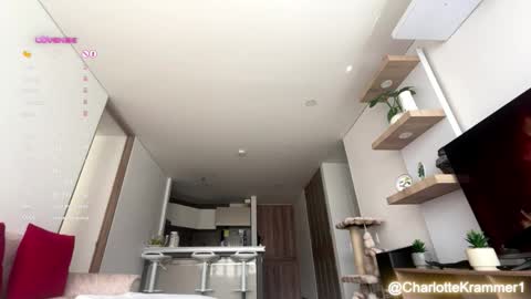 Charlotte independent model online show from January 11, 2:35 pm