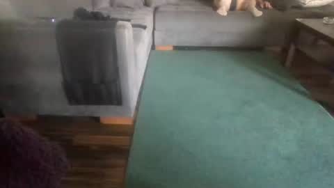 Nikola online show from April 6, 9:31 am