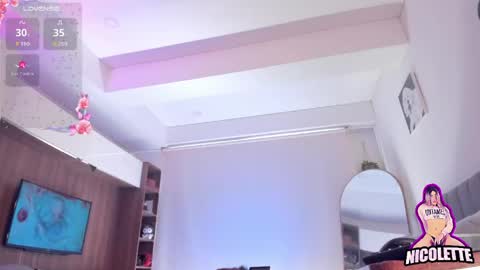 Nicol  online show from April 26, 2:37 pm