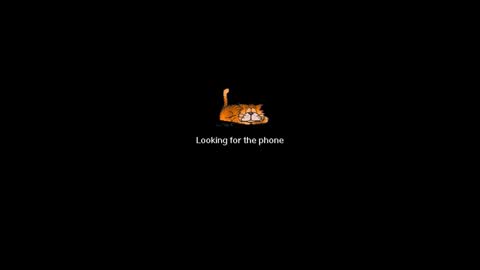Snapshot of ninfo_puta chatting on March 1, 9:08 am Ninfo Puta online show from March 1, 9:08 am