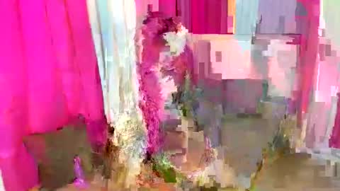 petitehorsycock online show from April 23, 5:59 pm