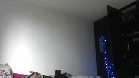 Nico online show from January 1, 9:09 pm