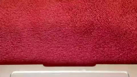 rimalova online show from October 25, 6:30 am