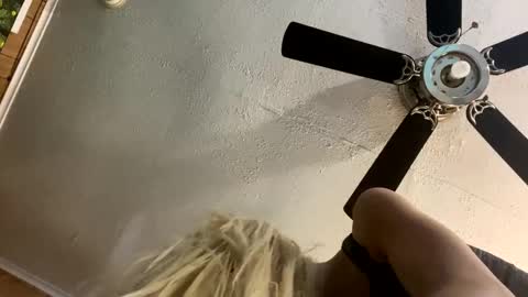 DestinyMagick online show from November 14, 8:44 am