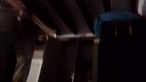 Samedisamedi1nouveau online show from March 16, 6:33 pm