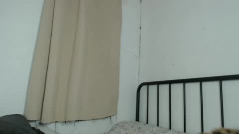 bini aiah online show from December 19, 3:40 am