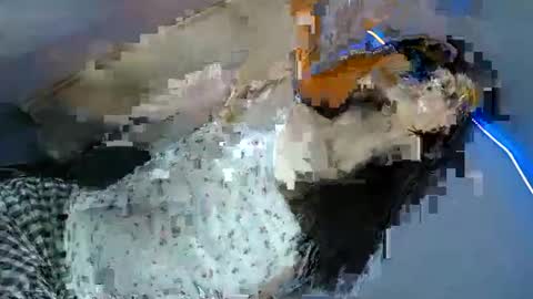 bini aiah online show from March 8, 4:23 am