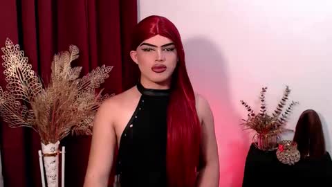 Shane X online show from February 13, 11:06 am