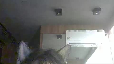 skinnykittencam online show from February 8, 4:18 am