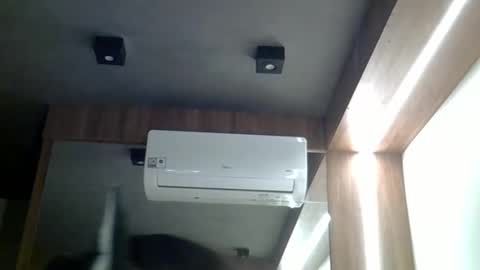 skinnykittencam online show from April 8, 1:07 am