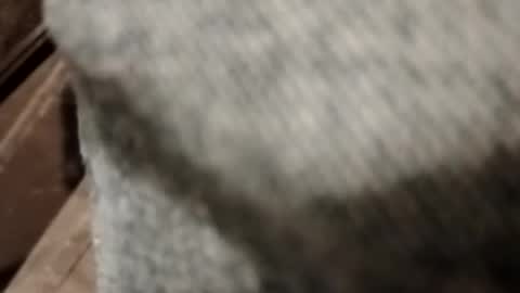 Riotstarter187 online show from February 11, 8:00 am