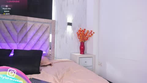 Taylor Harveey online show from November 12, 9:03 pm