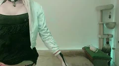 Snapshot of toyboybitchslut chatting on February 11, 3:08 am Patrizia online show from February 11, 3:08 am