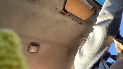 turtleftw69 online show from January 2, 11:06 pm