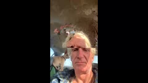 turtleftw69 online show from January 3, 7:50 pm