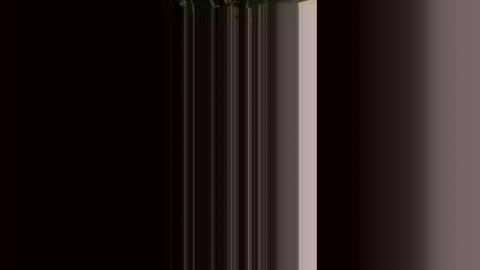 turtleftw69 online show from February 21, 10:29 am