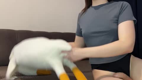 Karina followed me bb online show from December 2, 11:35 am