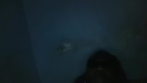 vivitransbahia22cm online show from February 12, 10:24 am