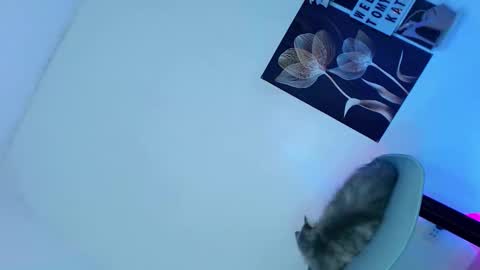 kesha online show from September 18, 1:49 pm