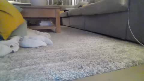 wyndir online show from April 4, 5:44 pm